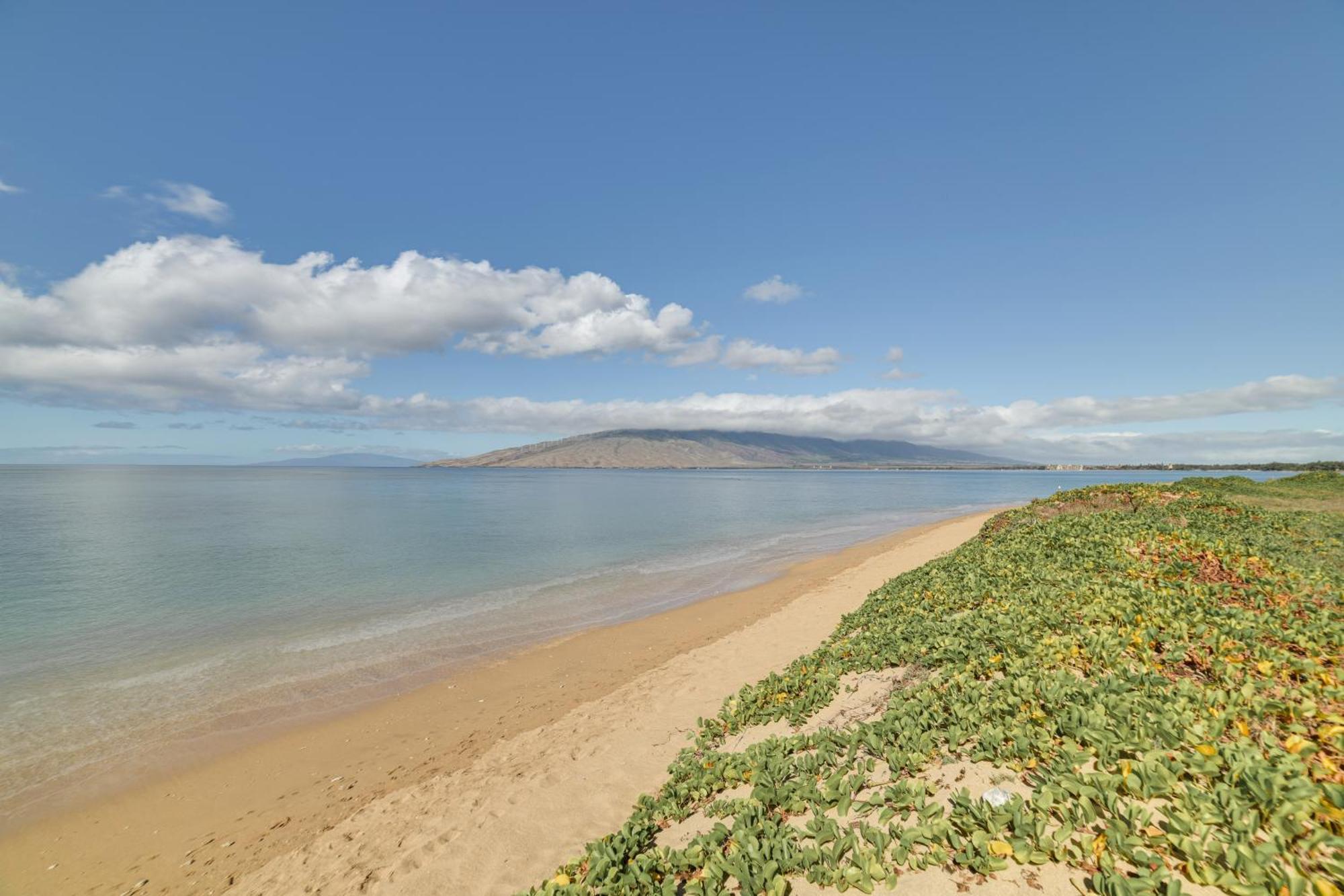 Kihei Haven At Village By The Sea, Steps To Beach! Bagian luar foto
